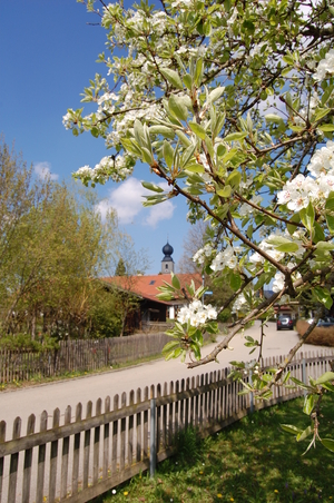Frühling in Engelsberg